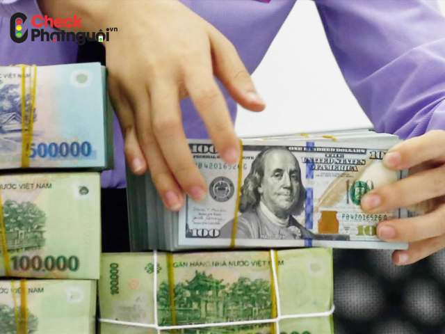 Nộp phạt nguội tại Tuyên Quang
