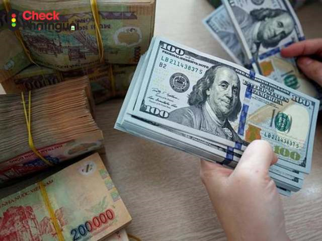 Nộp phạt nguội tại Vĩnh Long