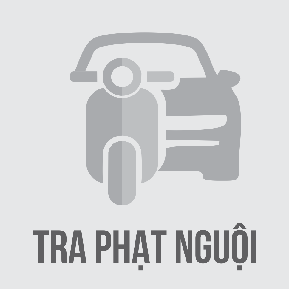 check-phat-nguoi-o-to